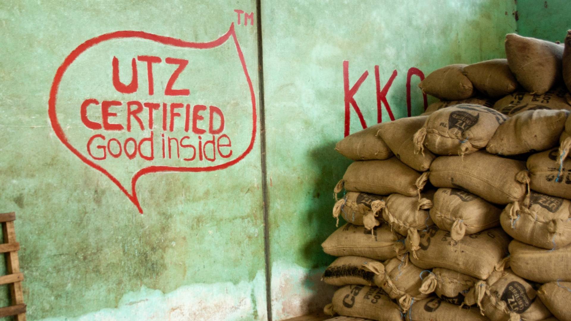 UTZ, sustainable cocoa