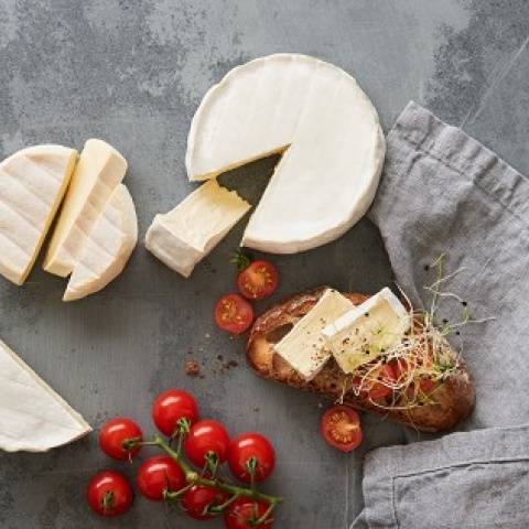Lactalis Suisse SA et Wander SA démarrent une collaboration commerciale dans le secteur du Food Service en Suisse